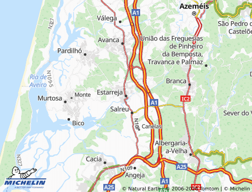 MICHELIN Estarreja map - ViaMichelin