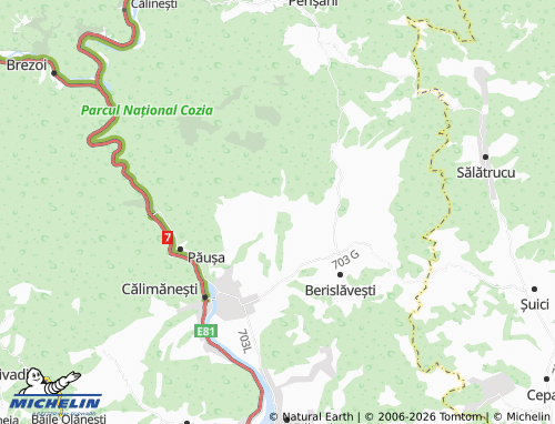 MICHELIN Păștești map - ViaMichelin