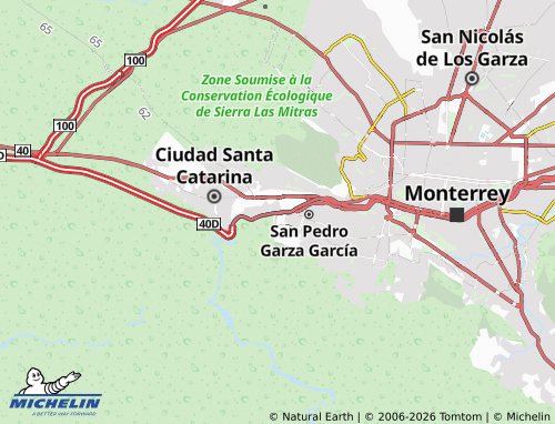 Mappa MICHELIN Jesús Martínez Garza - ViaMichelin