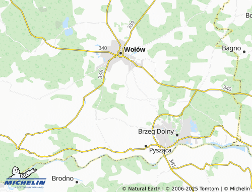 MICHELIN Łososiowice map - ViaMichelin