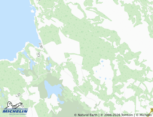 Mappa MICHELIN Suur-Nõmmküla - ViaMichelin
