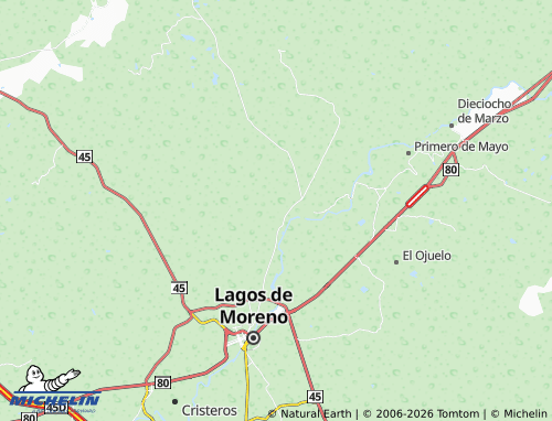 MICHELIN El Chipinque de Arriba map - ViaMichelin