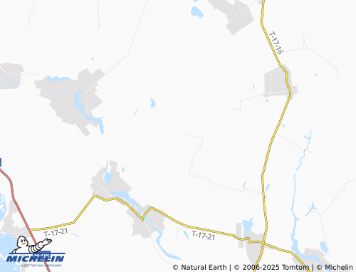 MICHELIN Novoselivka map - ViaMichelin
