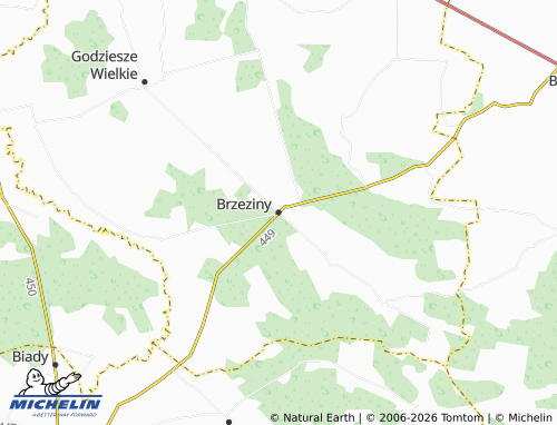 MICHELIN Brzeziny map - ViaMichelin