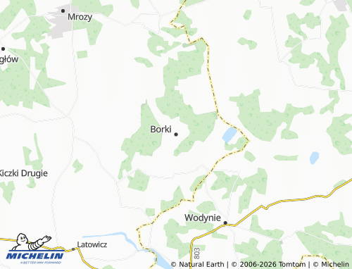 Carte MICHELIN Borki - ViaMichelin