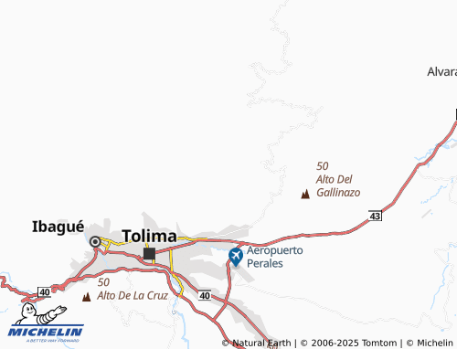 MICHELIN Carrizales map - ViaMichelin