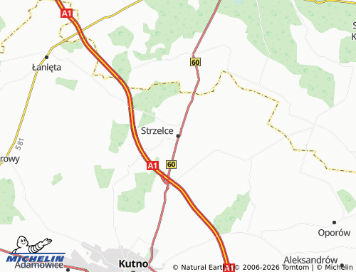 MICHELIN Strzelce map - ViaMichelin