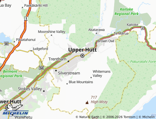 Mapa MICHELIN Wallaceville - ViaMichelin
