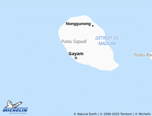 MICHELIN Gayam map - ViaMichelin