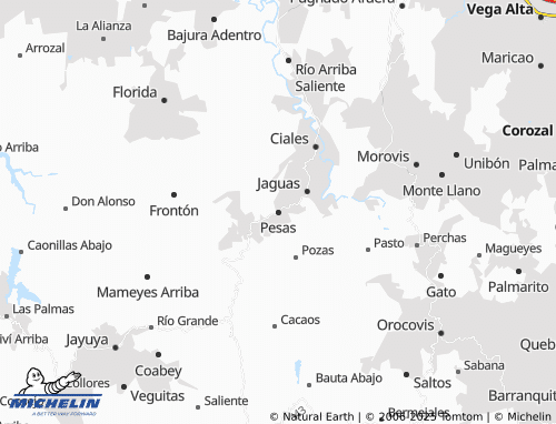 Mapa MICHELIN Pesas - ViaMichelin