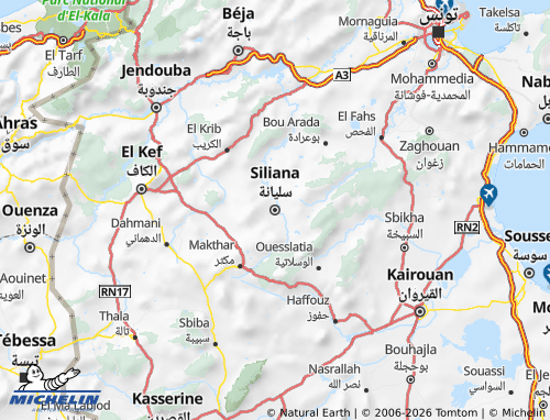 Mappa MICHELIN Silyanah - ViaMichelin