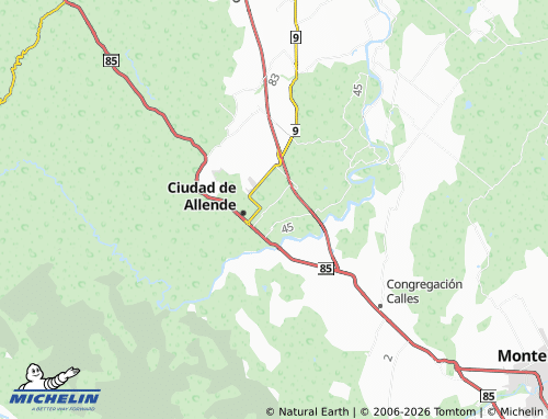 Mappa MICHELIN Vista de Allende - ViaMichelin