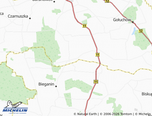 MICHELIN Bronów map - ViaMichelin
