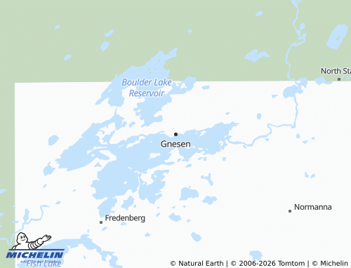 Carte MICHELIN Gnesen - ViaMichelin