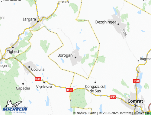 MICHELIN Borogani map - ViaMichelin