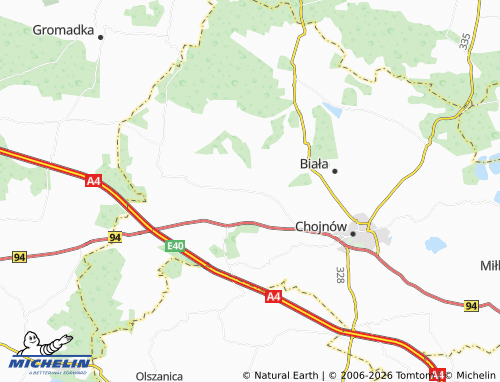 Mappa MICHELIN Witków - ViaMichelin