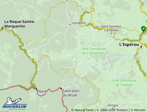 MICHELIN Trèves map - ViaMichelin