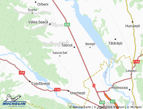 Mappa MICHELIN Schineni - ViaMichelin
