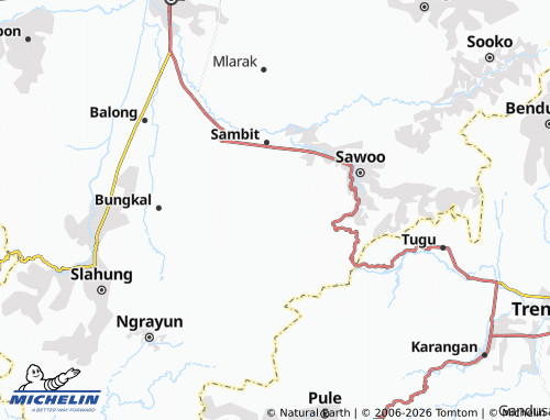 Carte MICHELIN Ngadisanan - ViaMichelin