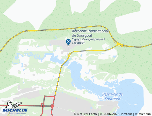 MICHELIN-Landkarte Dorozhnyy - ViaMichelin