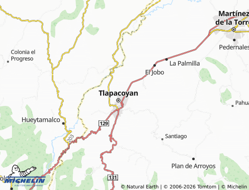 Mapa MICHELIN Miguel Alemán - ViaMichelin