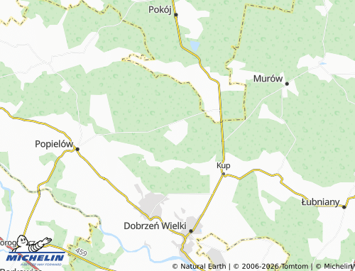 Carte MICHELIN Kaniów - ViaMichelin