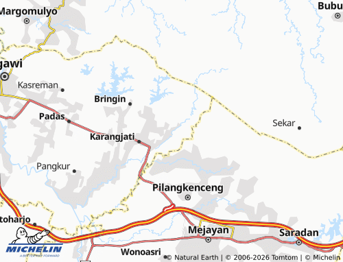 MICHELIN Rejuno map - ViaMichelin