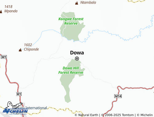 MICHELIN Dowa map - ViaMichelin