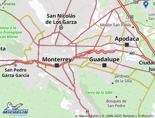 MICHELIN Centro de Guadalupe map - ViaMichelin