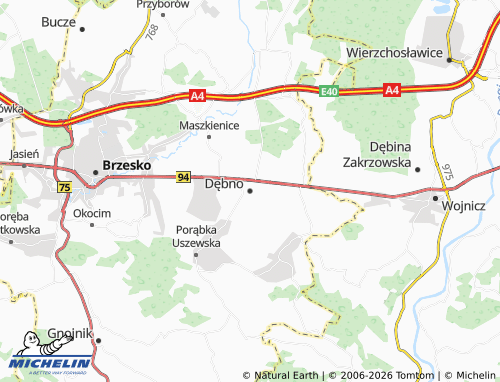 MICHELIN Dębno map - ViaMichelin