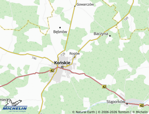 Carte MICHELIN Rogów - ViaMichelin