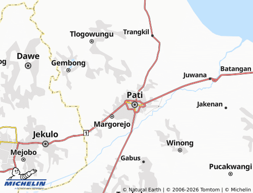 MICHELIN-Landkarte Winong - ViaMichelin