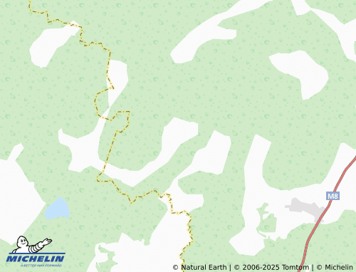 MICHELIN Ryzhikovo map - ViaMichelin