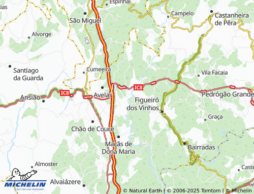 MICHELIN-Landkarte Casal de São Simão - ViaMichelin