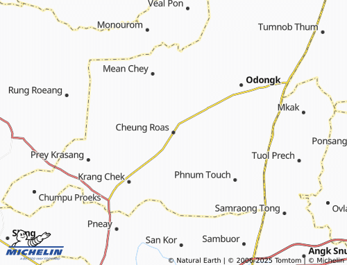 MICHELIN Cheung Roas map - ViaMichelin