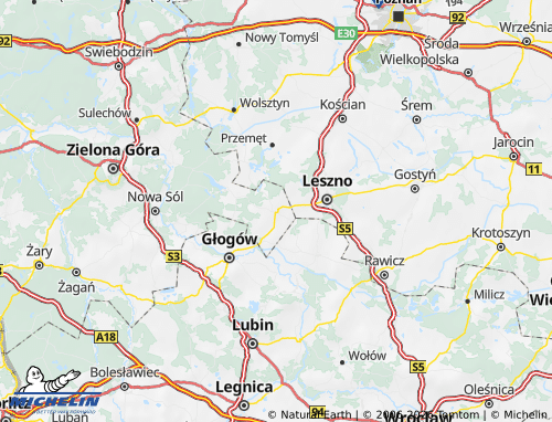 Carte MICHELIN Wschowski - ViaMichelin