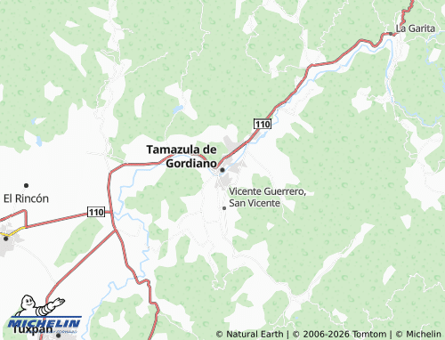 Mappa MICHELIN Tamazula de Gordiano - ViaMichelin