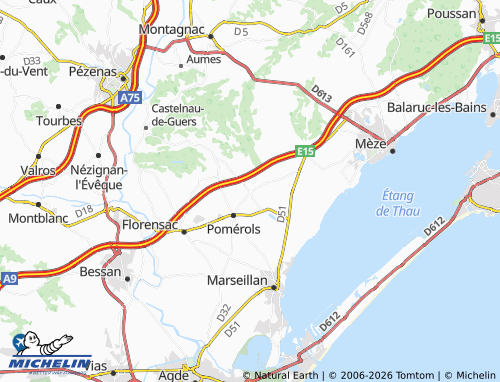Mappa MICHELIN Pinet - ViaMichelin