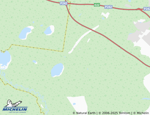 MICHELIN Avtotransportnik SNT map - ViaMichelin
