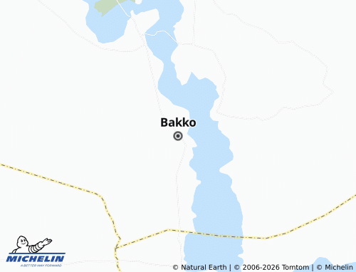 Carte MICHELIN Bakko - ViaMichelin