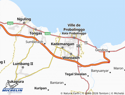 MICHELIN Kademangan map - ViaMichelin