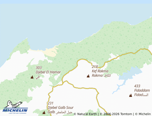 Carte MICHELIN Sidi Bou Hamer - ViaMichelin