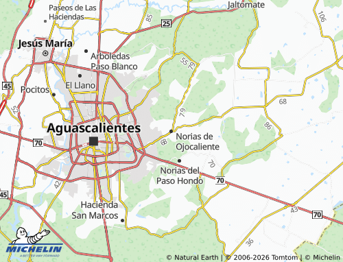 Mappa MICHELIN Norias de Ojocaliente - ViaMichelin