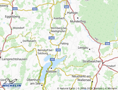 MICHELIN Palting map - ViaMichelin