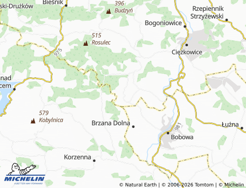 Carte MICHELIN Falkowa - ViaMichelin