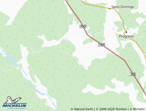 Mapa MICHELIN El Carrizal - ViaMichelin
