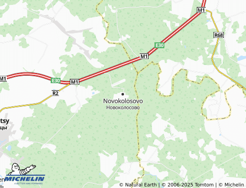 MICHELIN Novokolosovo map - ViaMichelin