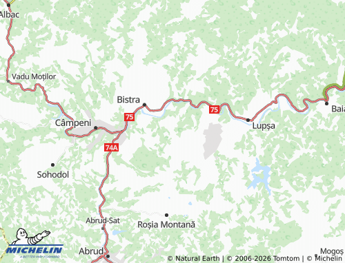 Mapa MICHELIN Bârlești - ViaMichelin