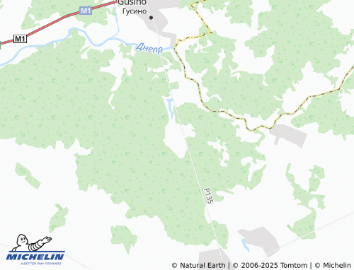 MICHELIN Nityazhi map - ViaMichelin