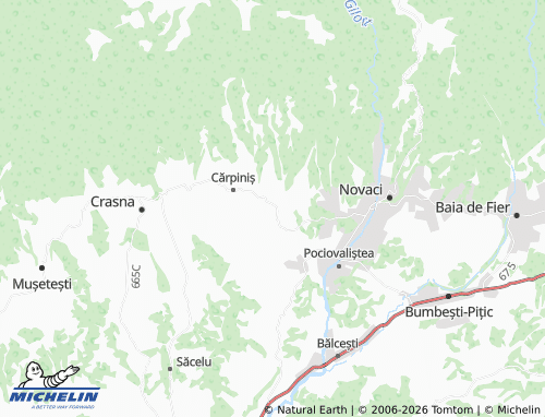 Mappa MICHELIN Aninișu Din Vale - ViaMichelin